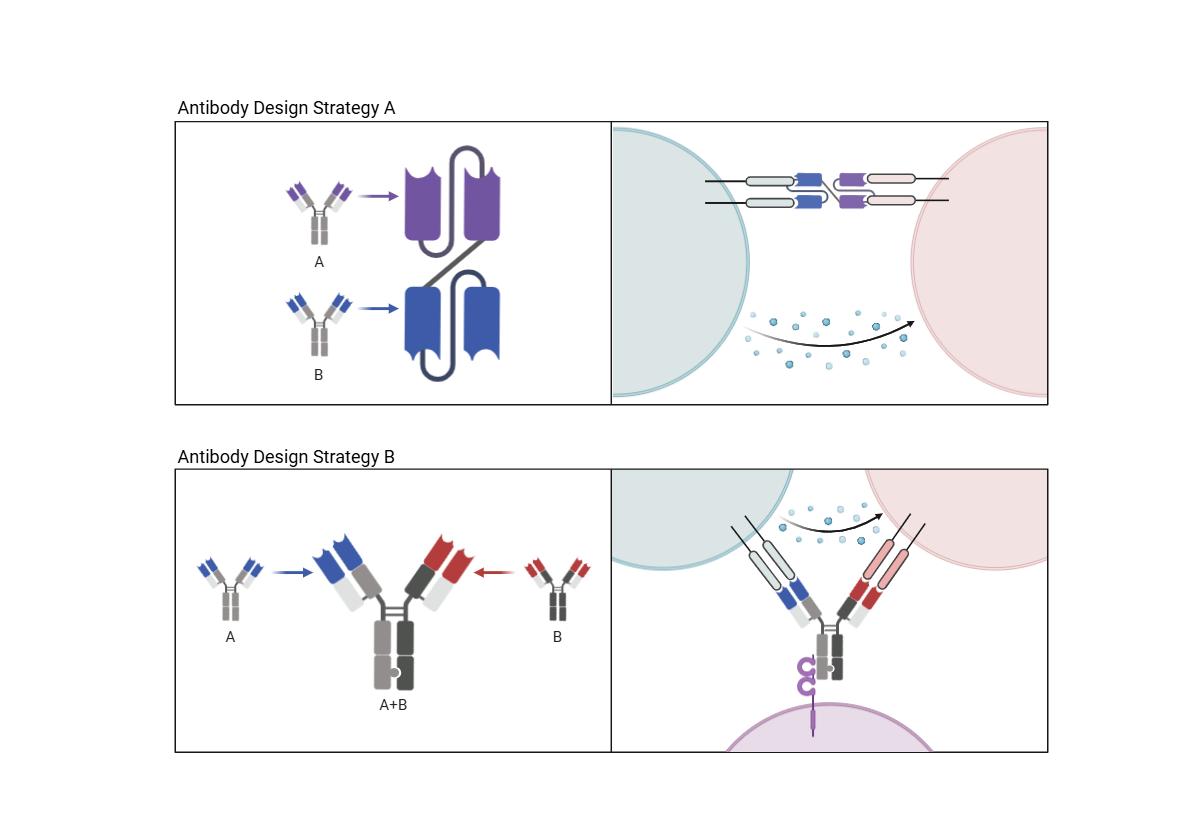AI驱动的药物靶点识别流程