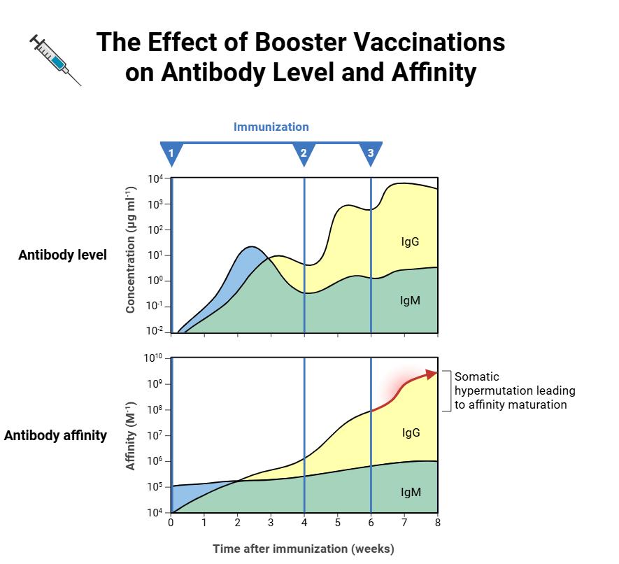 优化效果验证展示
