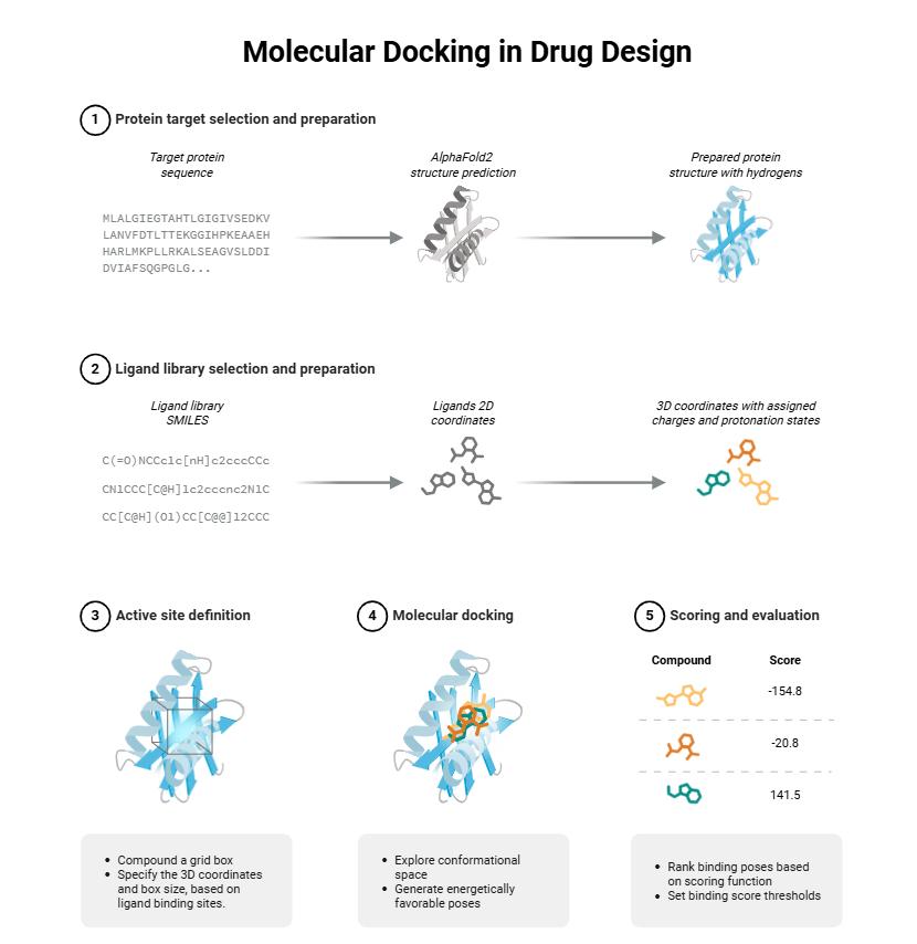 Drug Binding Prediction Process