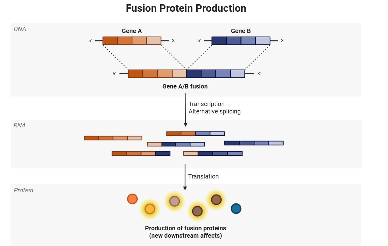 表达条件优化展示