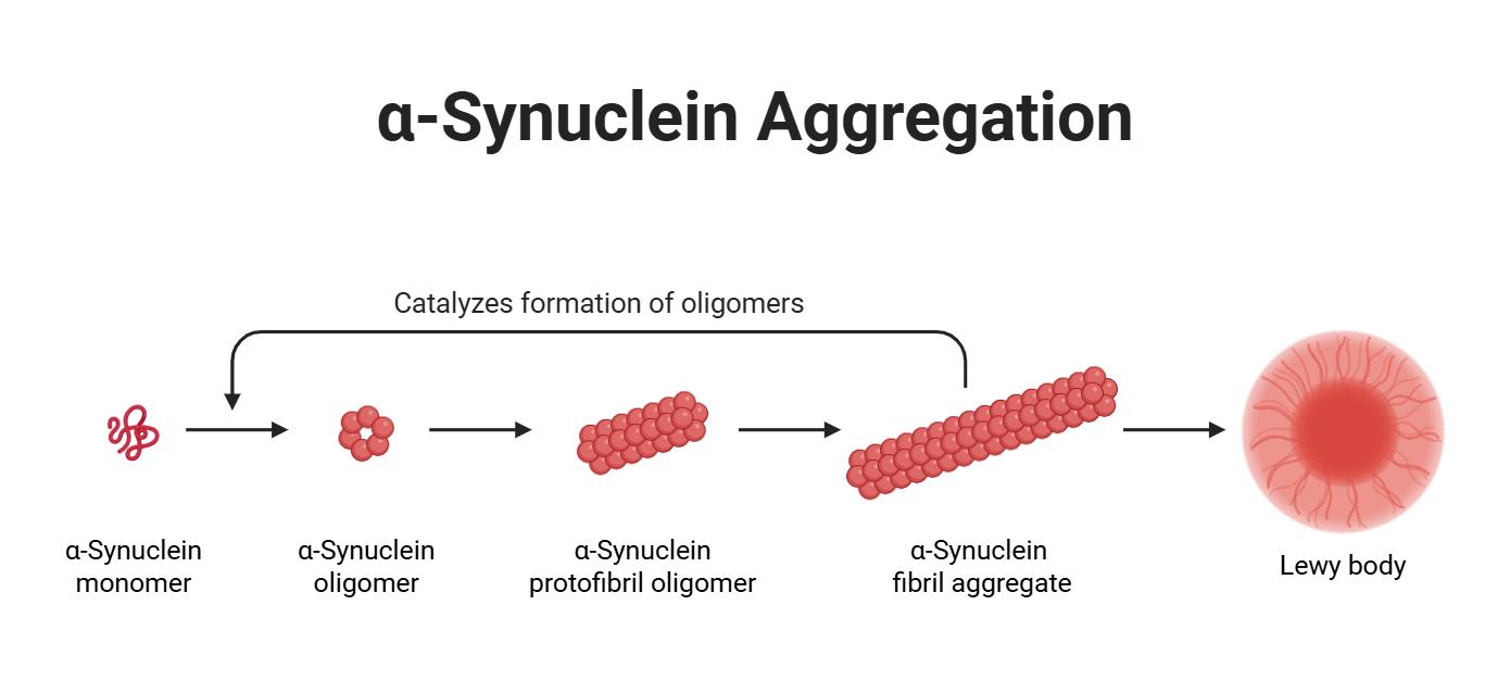 聚集预测模型展示