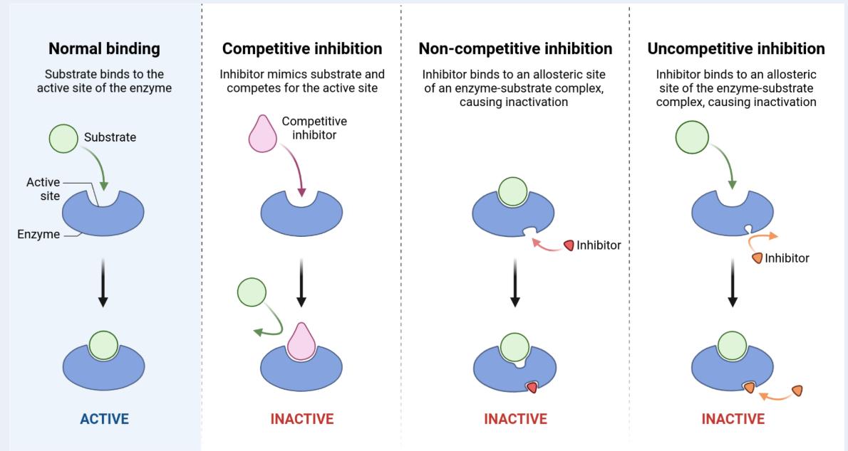 抑制策略开发展示