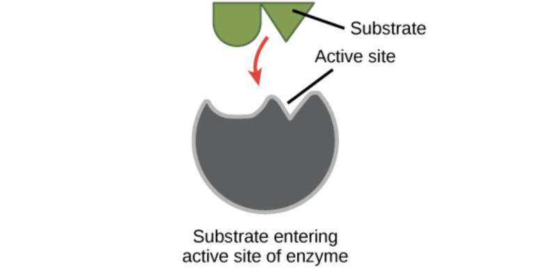 反应速率提升技术流程