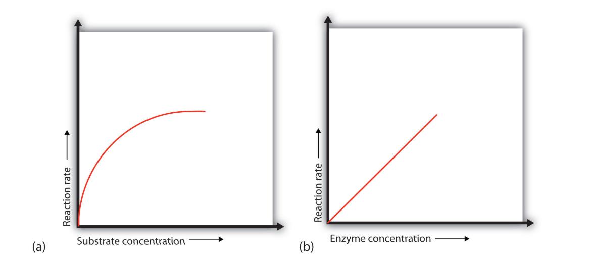 工业酶催化应用场景